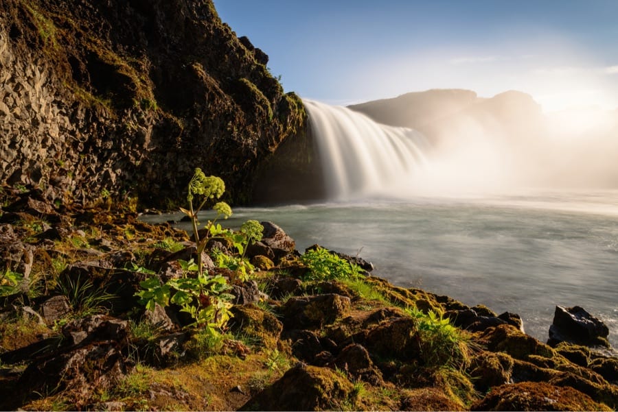 Golden Hour Waterfall Print